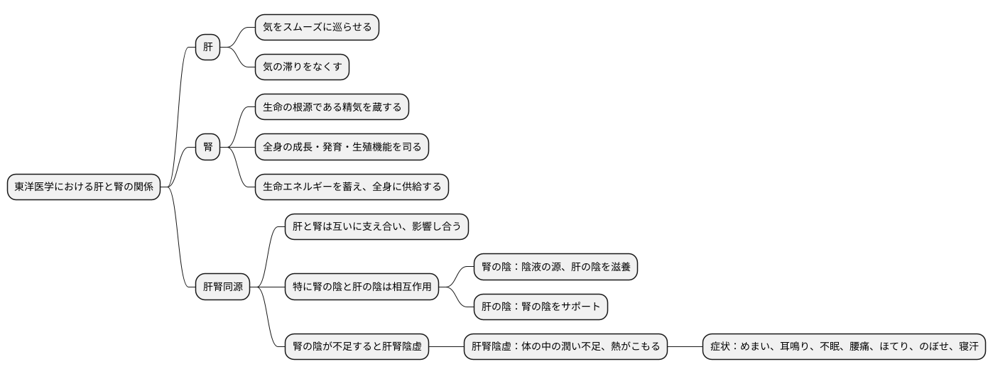 肝と腎との繋がり