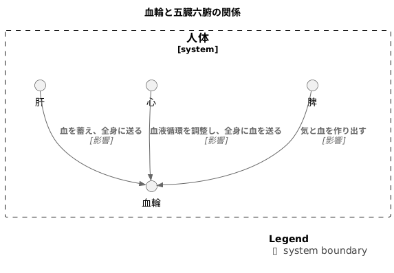 血輪と五臓六腑