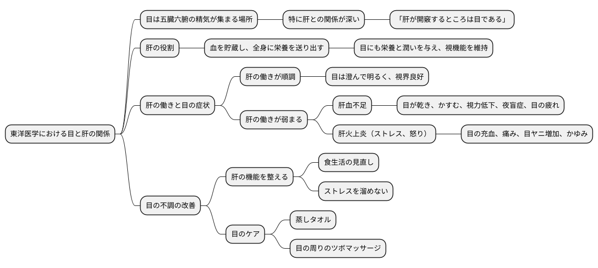 東洋医学における目の理解