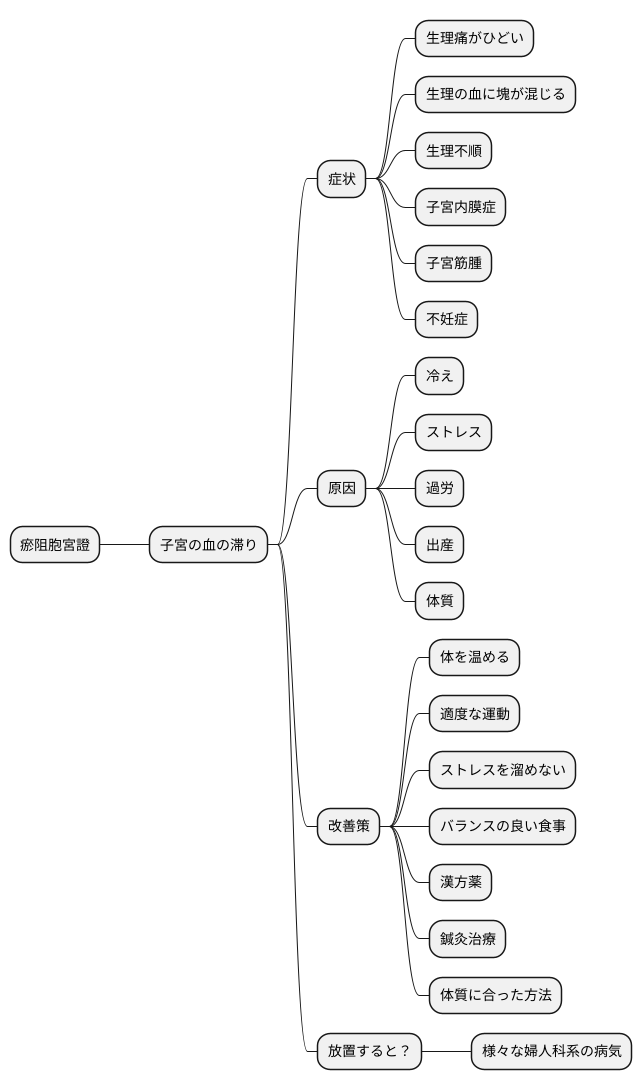 瘀阻胞宮證とは何か
