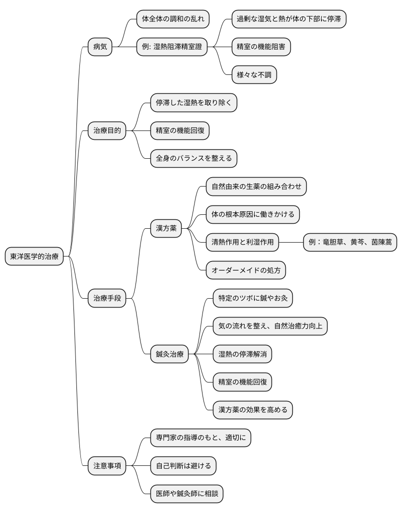 東洋医学的治療