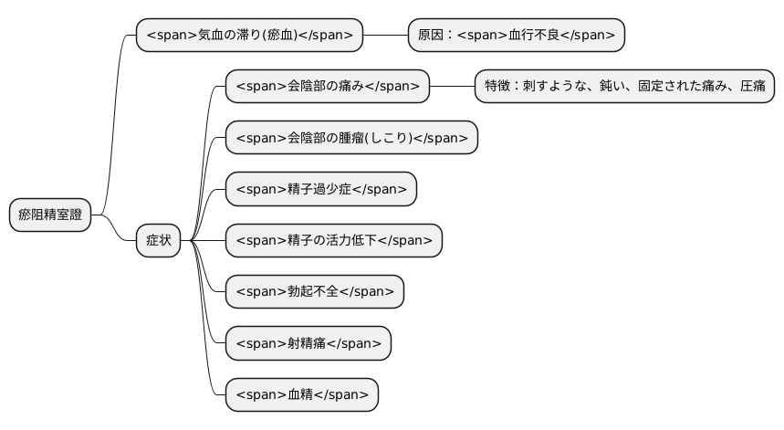 瘀阻精室證の症状
