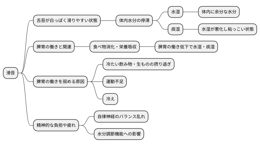 滑苔の原因