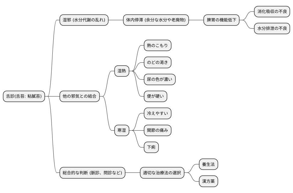 東洋医学的観点