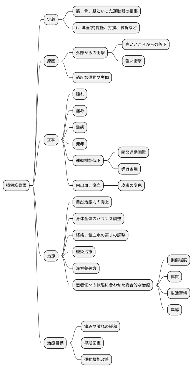 損傷筋骨證とは