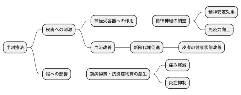 半刺の作用機序