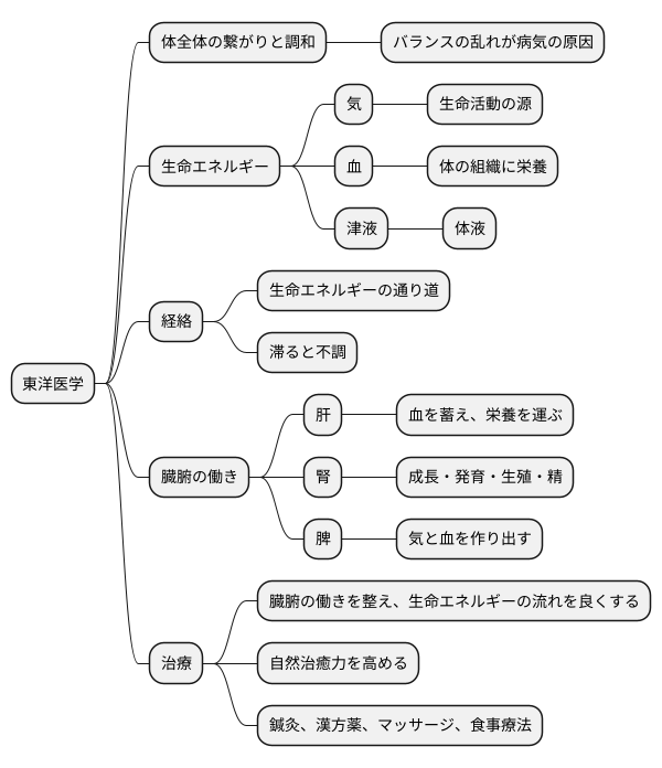 東洋医学的な考え方
