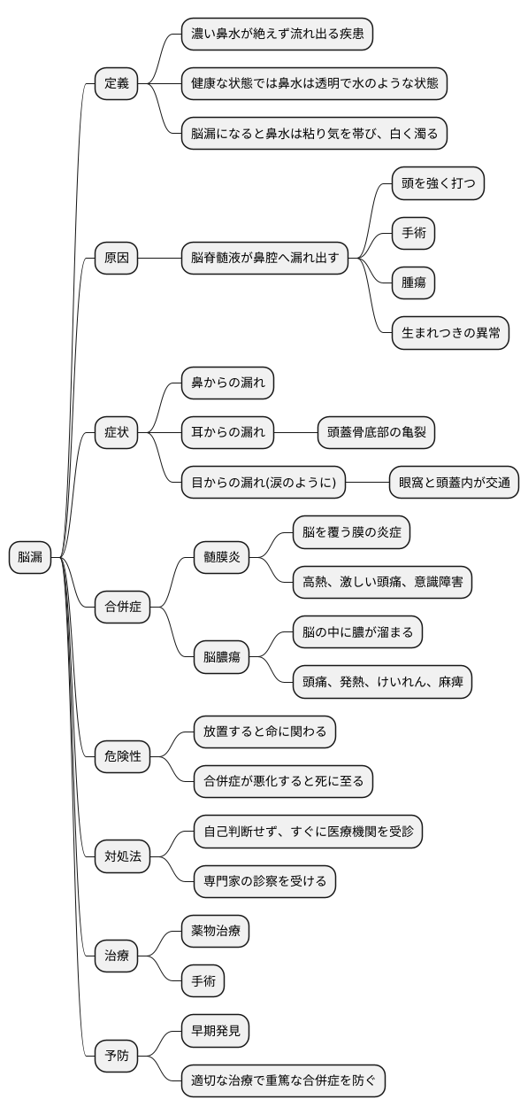 脳漏とは