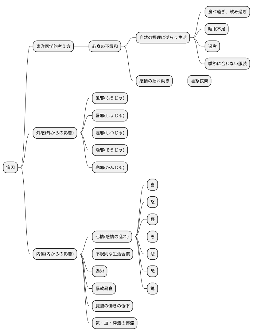 病因とは何か