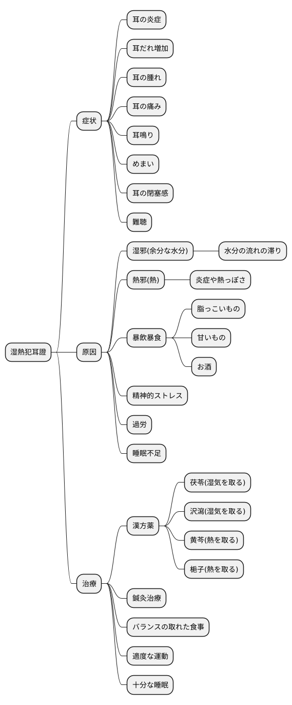 湿熱犯耳證とは