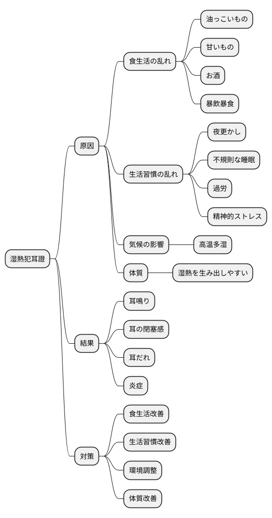 湿熱犯耳證の原因