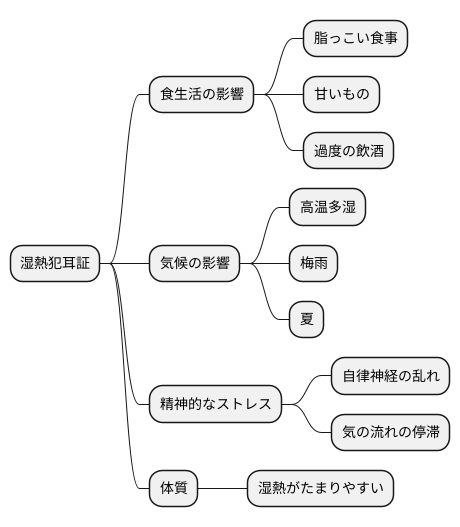 湿熱犯耳証の原因