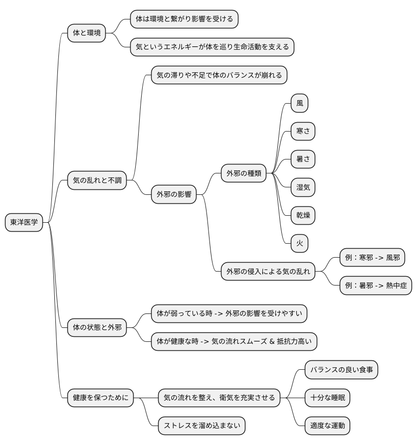 外邪と体の関係