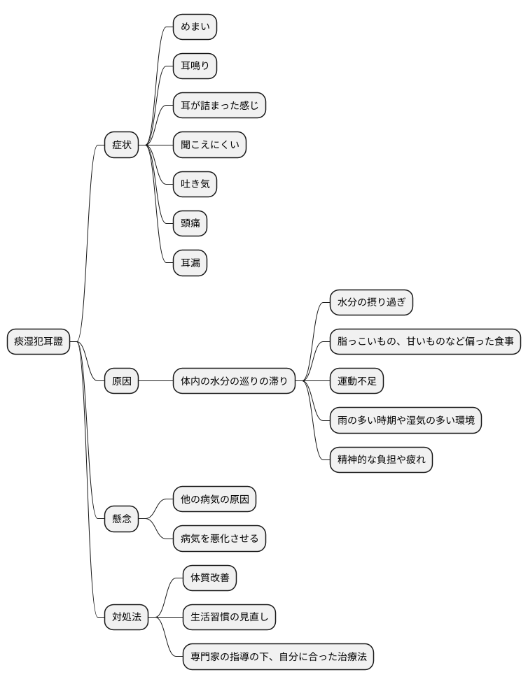 痰湿犯耳證とは