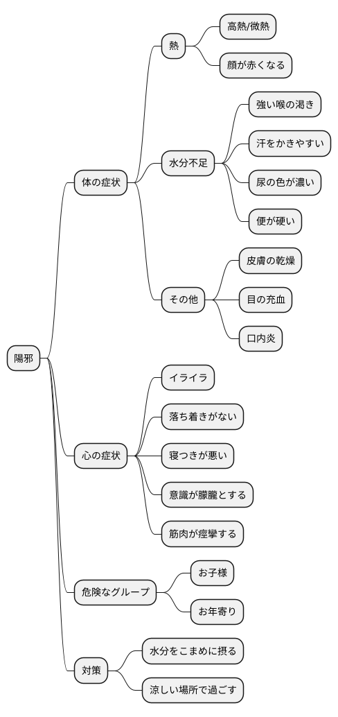 陽邪が引き起こす症状