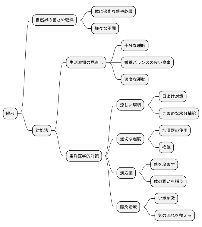 陽邪への対策