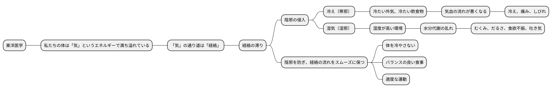陰邪と体の関係