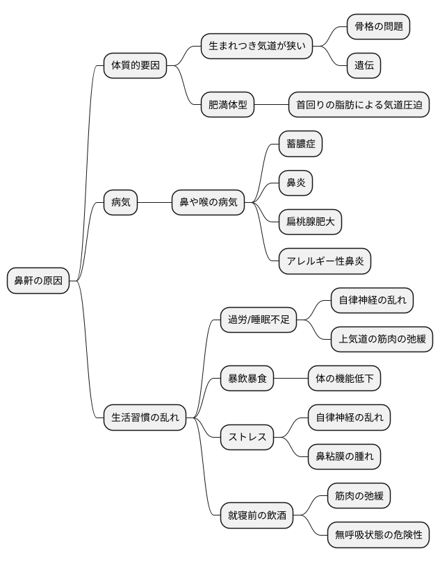 鼻鼾の原因