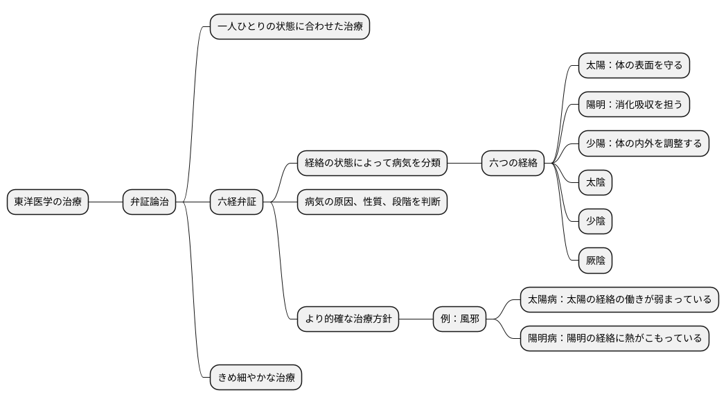 弁証論治との関連