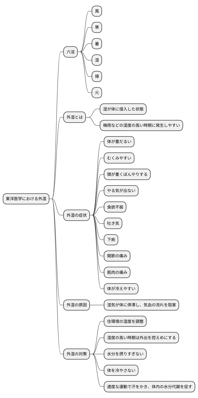 外湿とは