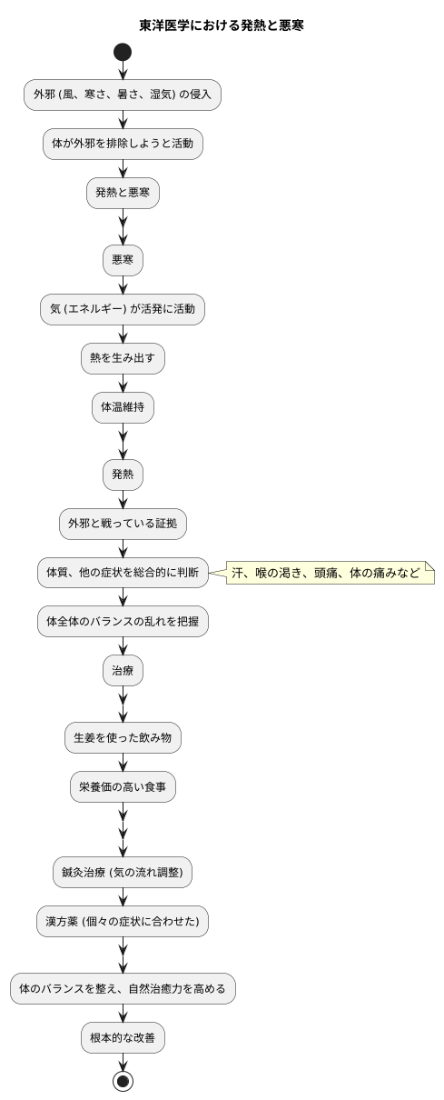 東洋医学的観点からの発熱と悪寒