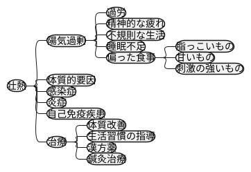 壮熱の原因を探る：東洋医学的観点
