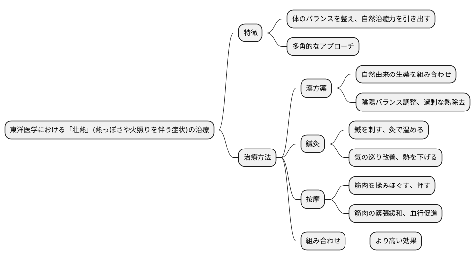 壮熱への対処法：東洋医学的アプローチ