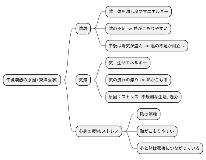 東洋医学的解釈
