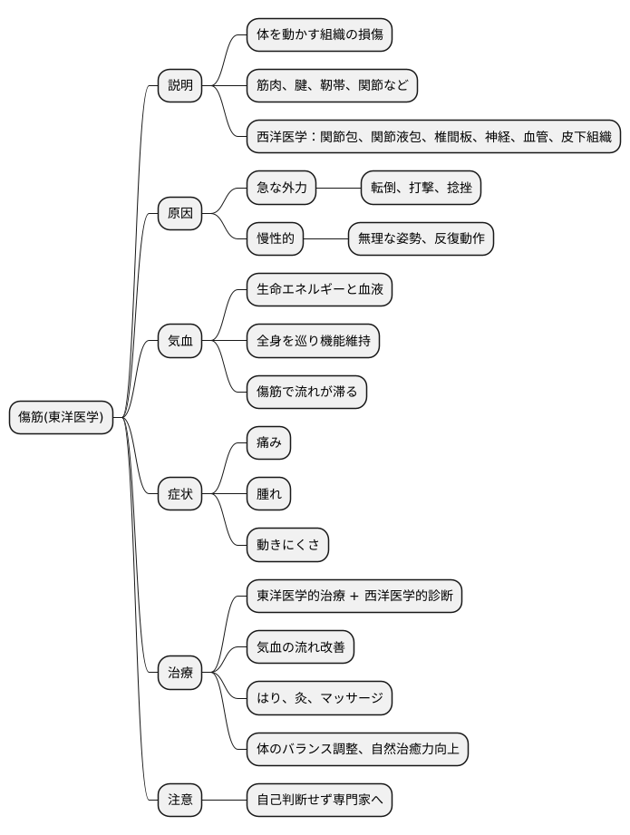 傷筋とは