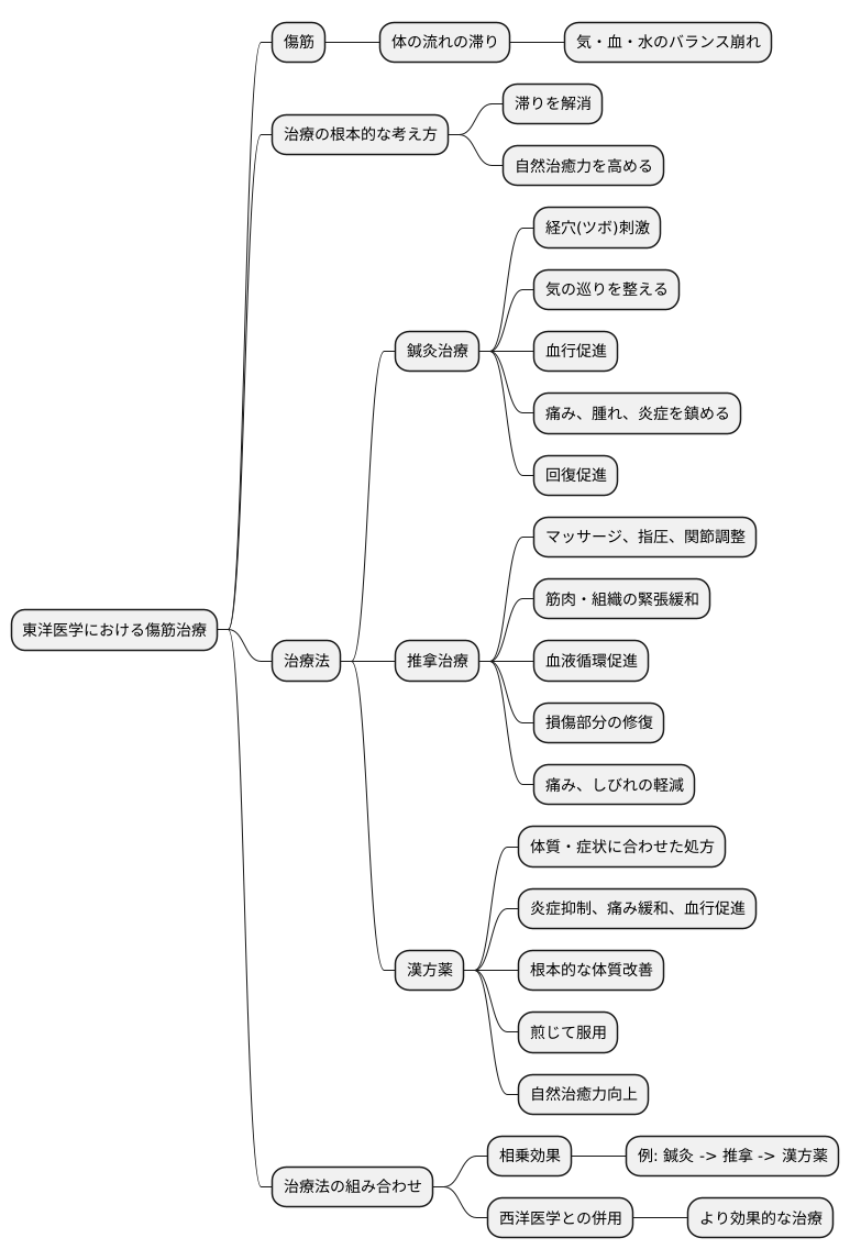 東洋医学的治療