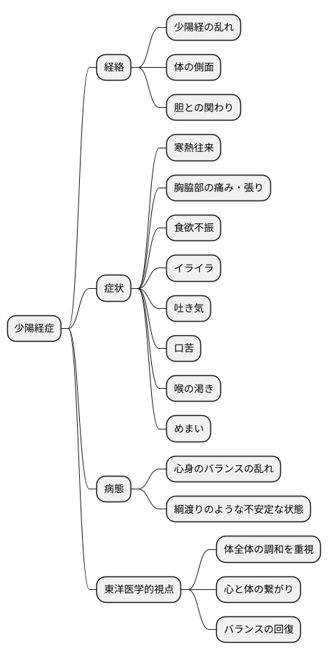 少陽経症とは