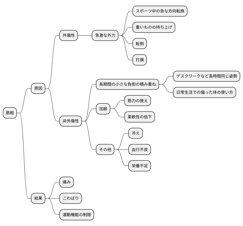筋粗の原因
