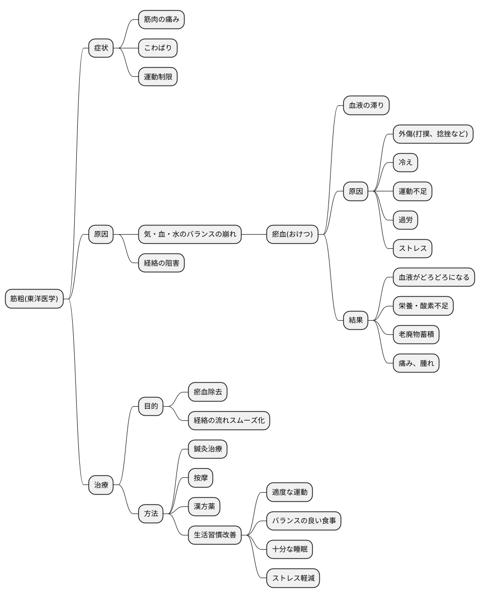 東洋医学における筋粗