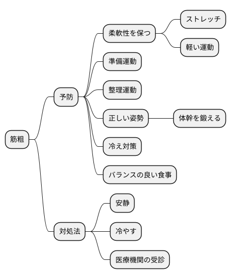 筋粗の予防と対策