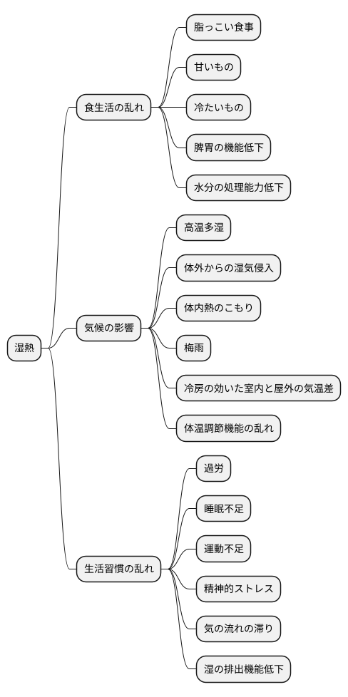 湿熱の原因
