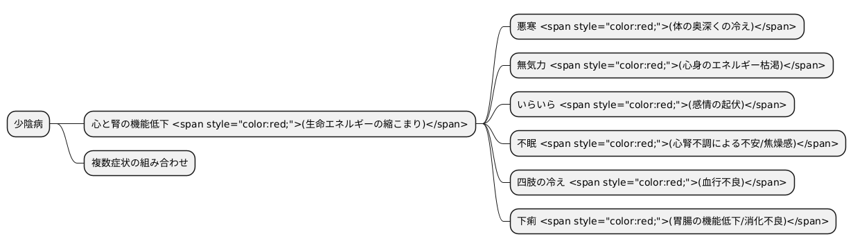 主な症状