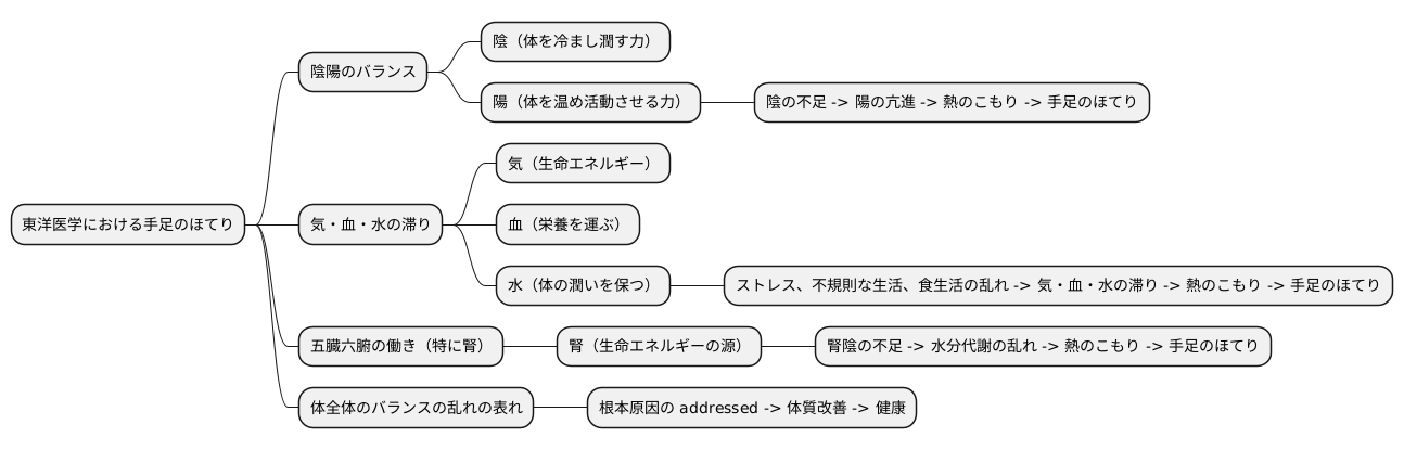 東洋医学的考え方