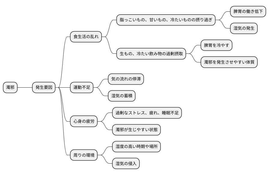濁邪の発生原因