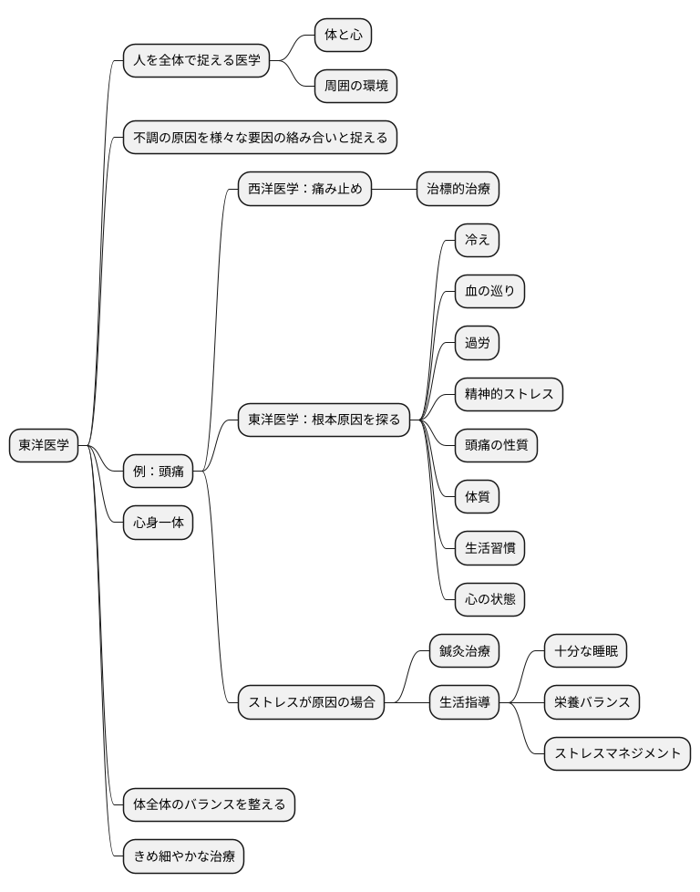 治標と東洋医学の全体観