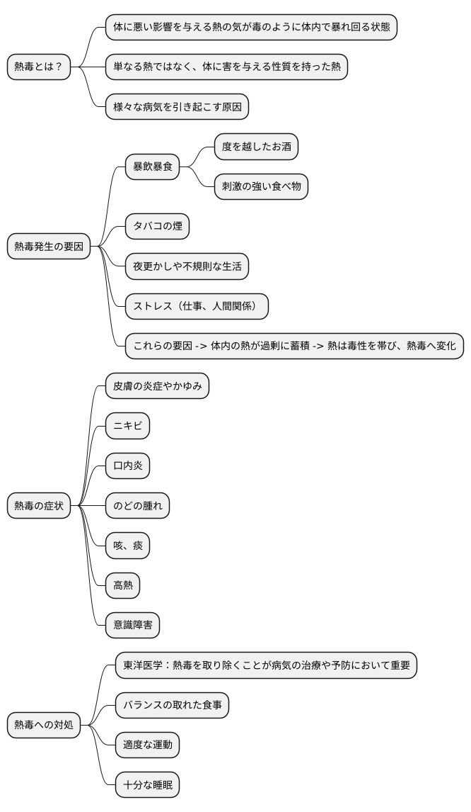熱毒とは何か