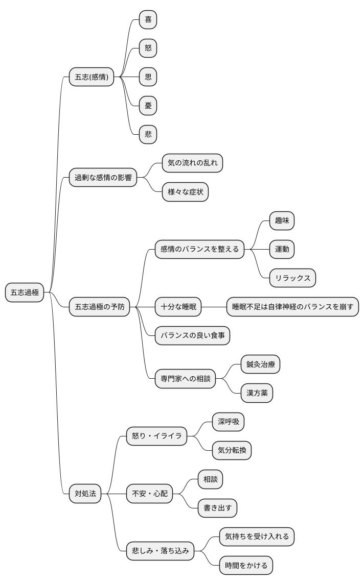五志過極の予防と対策