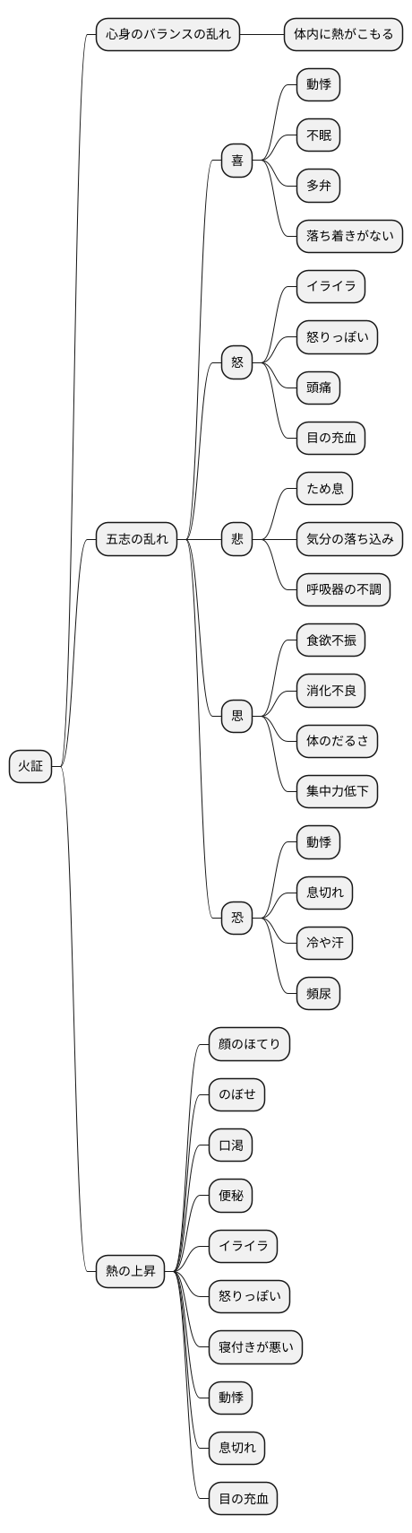 火証の症状