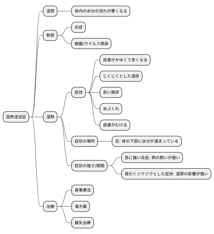 湿熱浸淫証とは