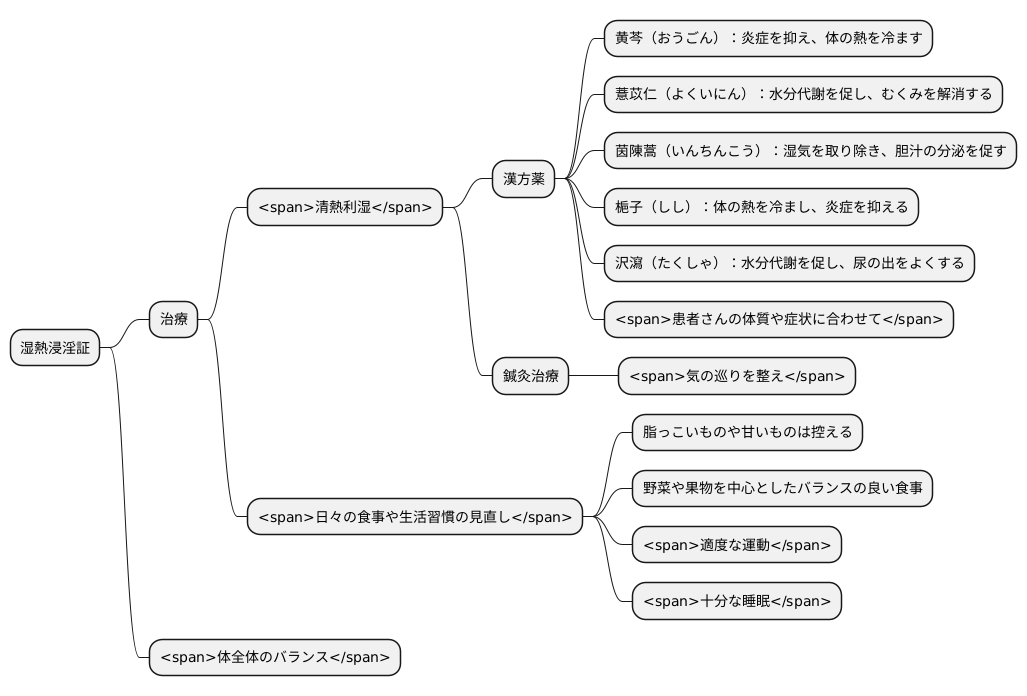 東洋医学的治療法