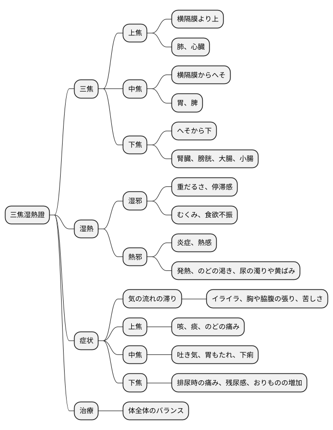 三焦湿熱證とは