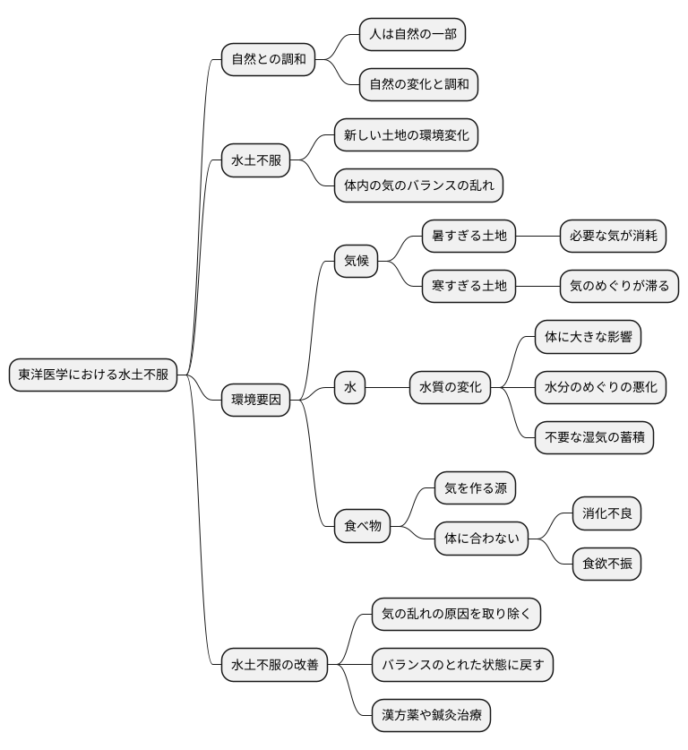 東洋医学的考え方