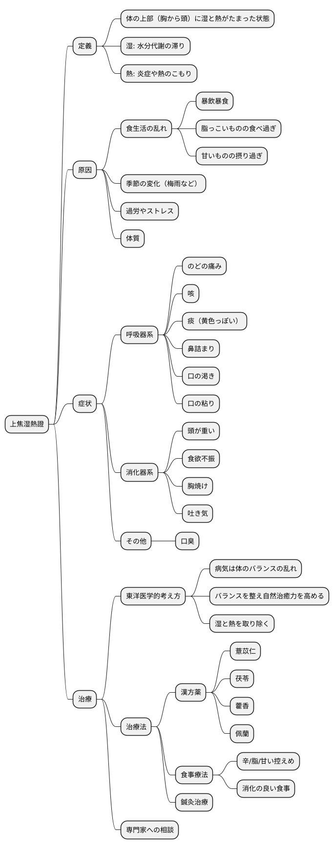 上焦湿熱證とは