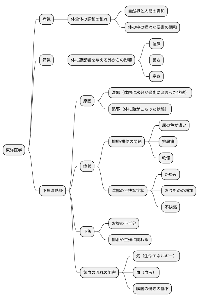 東洋医学的考え方
