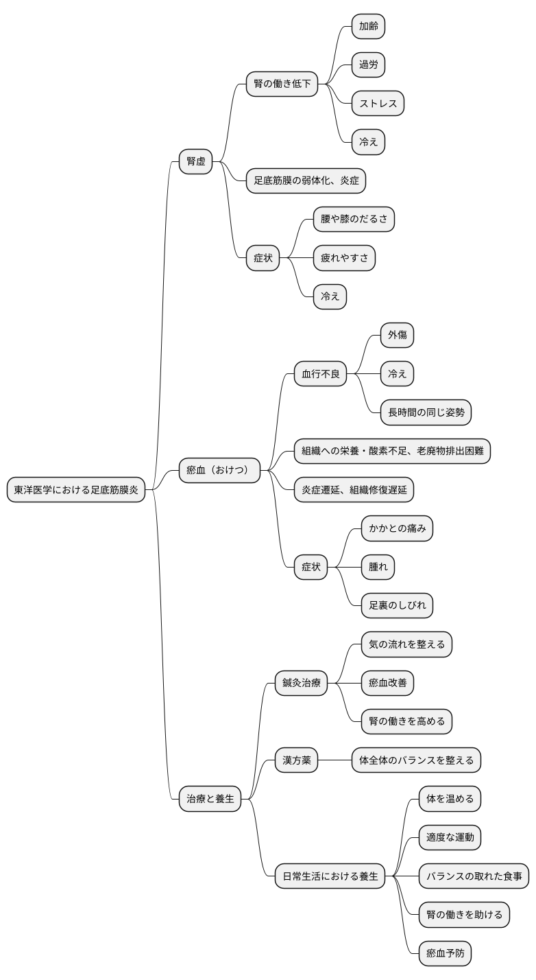 東洋医学的見解