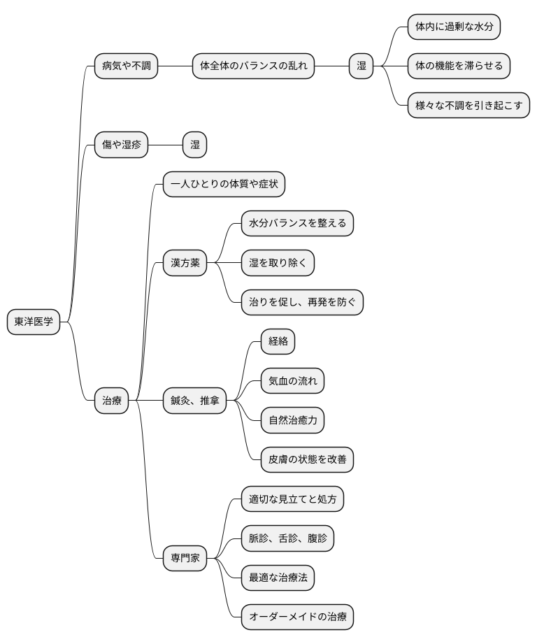 東洋医学的アプローチ